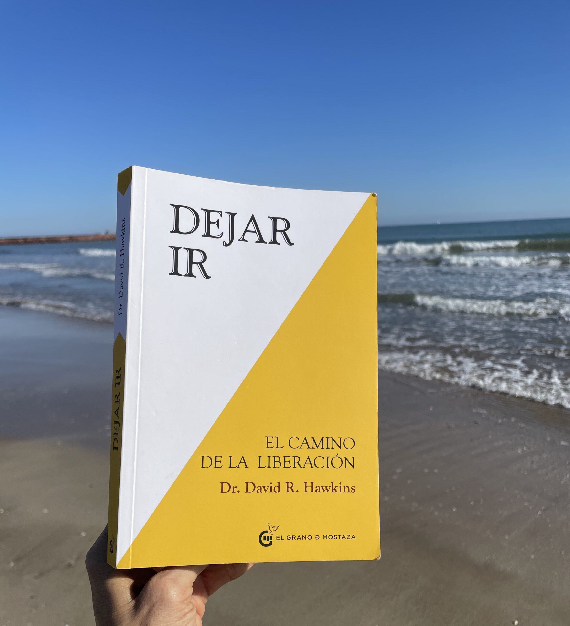 Empezar el año en alta vibración: lecciones del libro «Dejar ir» para transformarte